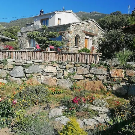 Coin De Paradis Vue Dominante Sur Mer, Montagne Et Tour Genoise Avec Jacuzzi Pino Exterior photo