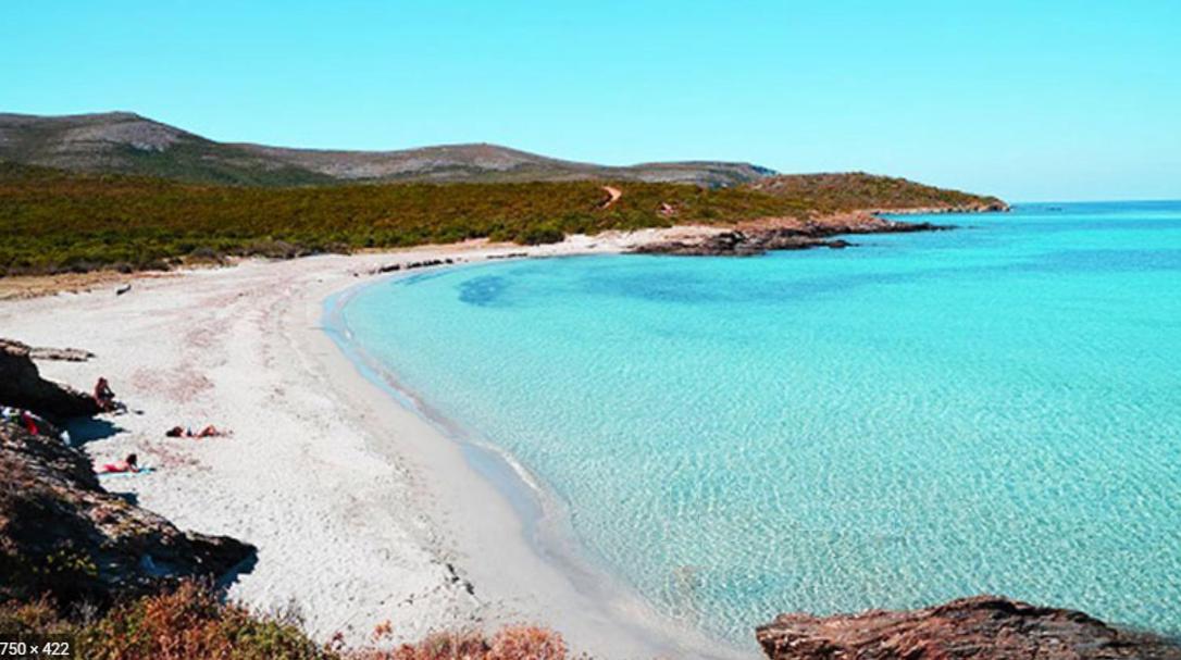 Coin De Paradis Vue Dominante Sur Mer, Montagne Et Tour Genoise Avec Jacuzzi Holiday home Pino