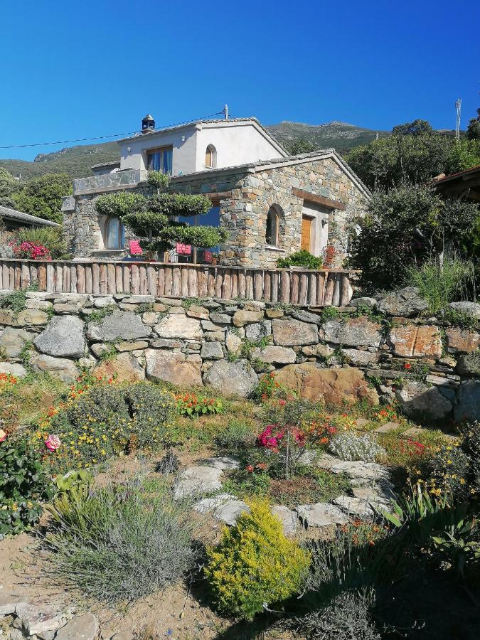 Coin De Paradis Vue Dominante Sur Mer, Montagne Et Tour Genoise Avec Jacuzzi Holiday home *