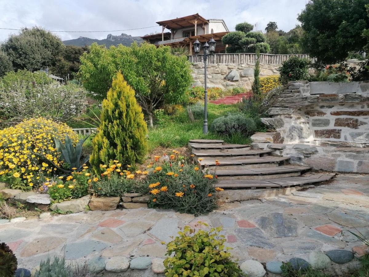 Coin De Paradis Vue Dominante Sur Mer, Montagne Et Tour Genoise Avec Jacuzzi Holiday home *